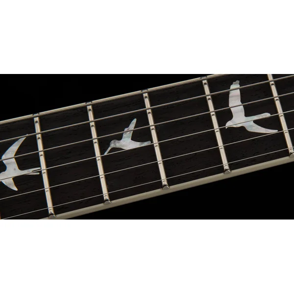 10th Anniversary S2 McCarty 594 Ltd (USA) - eriza verde