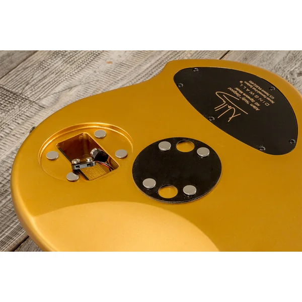 Adam Nolly Getgood NG3 3-Pickups 5-String (MN) - gold matte