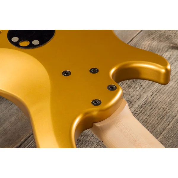 Adam Nolly Getgood NG3 3-Pickups 5-String (MN) - gold matte