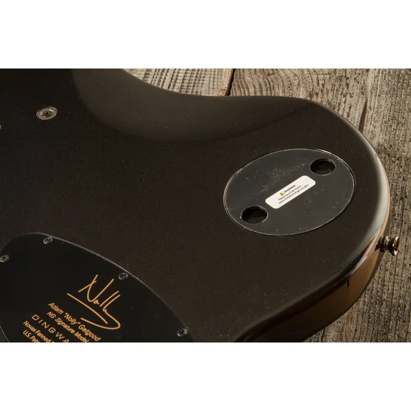 Adam Nolly Getgood NG3 3-Pickups 5-String (MN) - metallic black