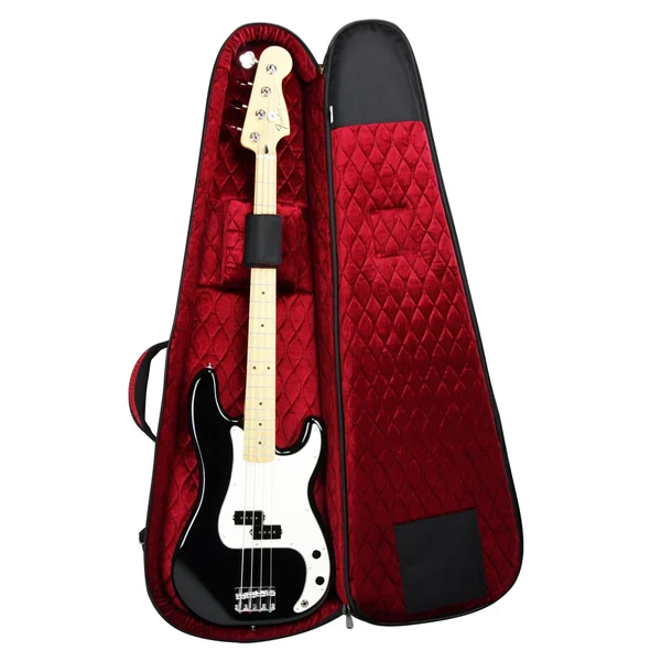 Aero Series Bass Guitar Case