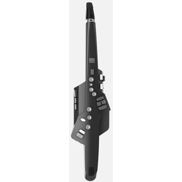 Aerophone AE-10G