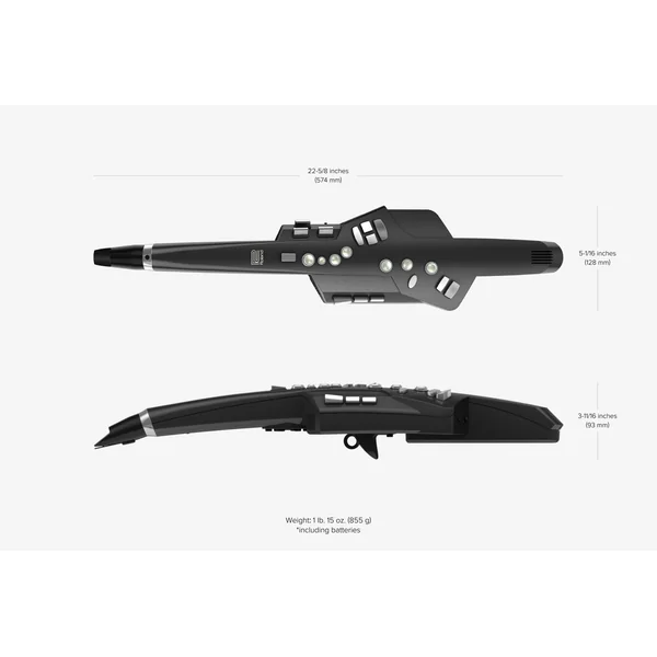 Aerophone AE-10G