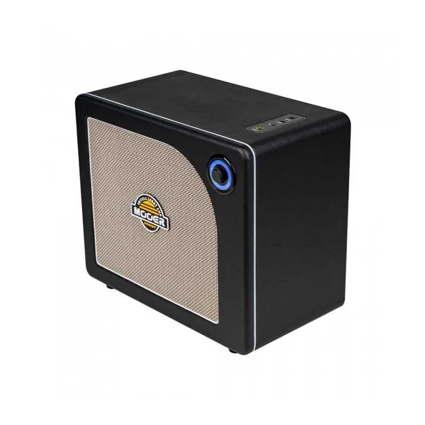 Ampli Polyvalent MOOER HORNET 30I NOIR