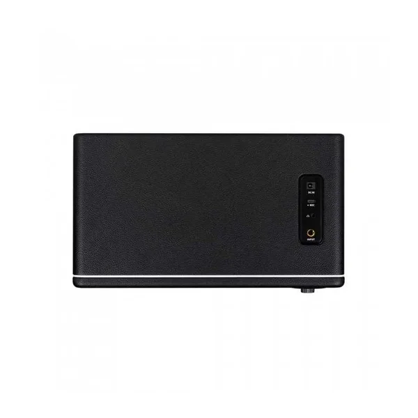 Ampli Polyvalent MOOER HORNET 30I NOIR