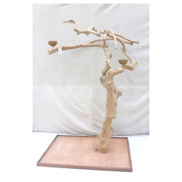 Arbre de java Aire de jeu perroquet en bois dur