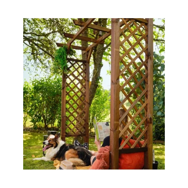 Arche de jardin Pergola bois massif 220 cm Arche jardin bois Arche en bois Arche plantes grimpantes Arceau jardin