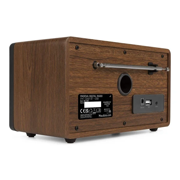 Audizio Padova Radio Réveil DAB+ avec Bluetooth - Bois