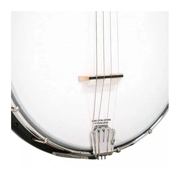 BANJO 4 Cordes GOLD TONE AC-4 IT - acoustique Irish Ténor open back