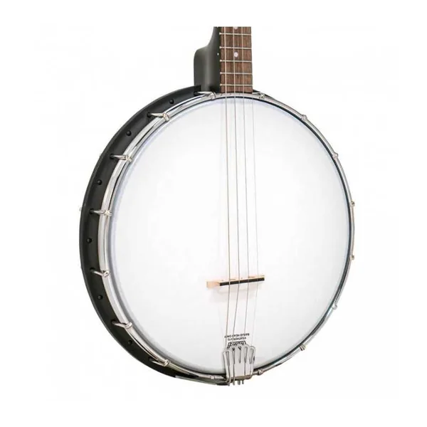 BANJO 4 Cordes GOLD TONE AC-4 - ténor open back