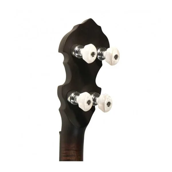 BANJO 4 Cordes GOLD TONE IT-17 - ténor irlandais avec fût de 12"
