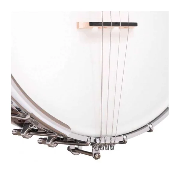 BANJO 4 Cordes GOLD TONE IT-250 - ténor irlandais avec étui rigide