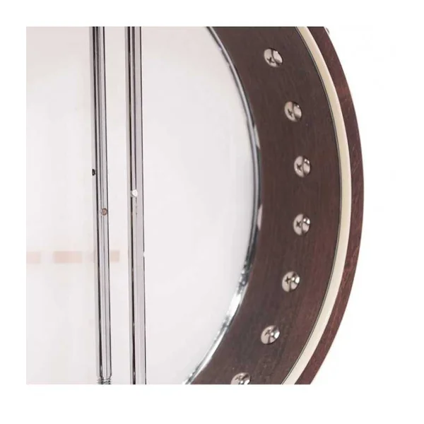 BANJO 4 Cordes GOLD TONE IT-250 - ténor irlandais avec étui rigide