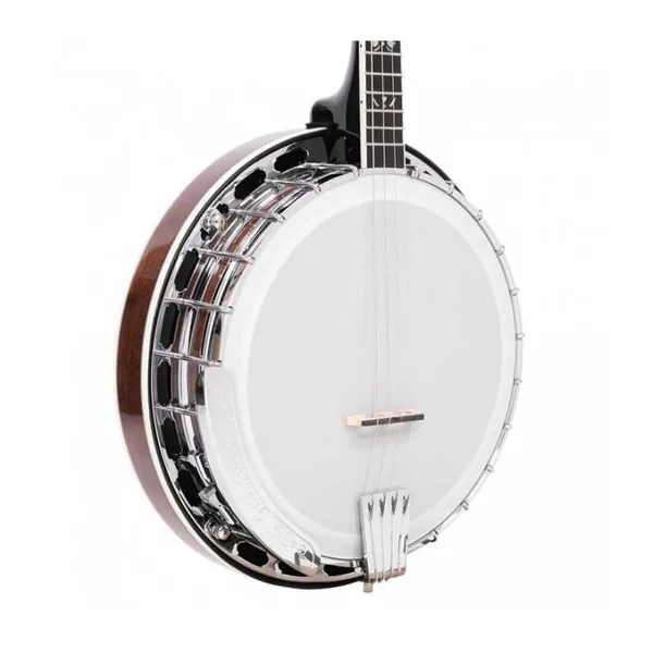 BANJO 4 Cordes GOLD TONE IT-250F - ténor irlandais