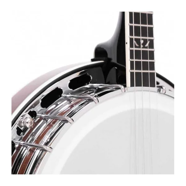 BANJO 4 Cordes GOLD TONE IT-250F - ténor irlandais