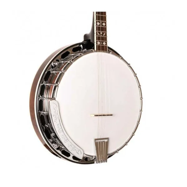 BANJO 4 Cordes GOLD TONE TS-250 - Special