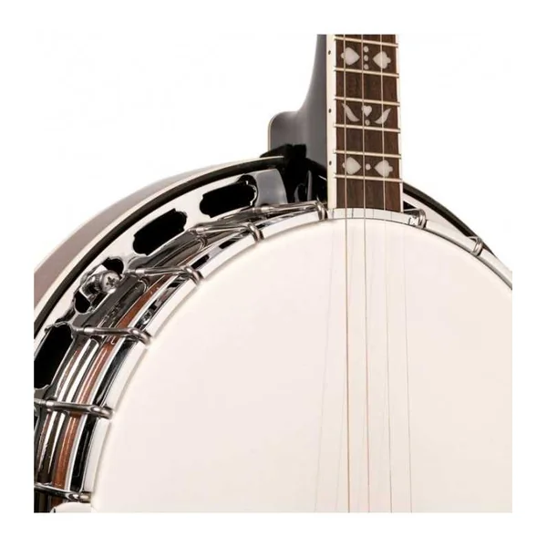 BANJO 4 Cordes GOLD TONE TS-250 - Special
