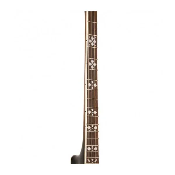 BANJO 4 Cordes GOLD TONE TS-250 - Special