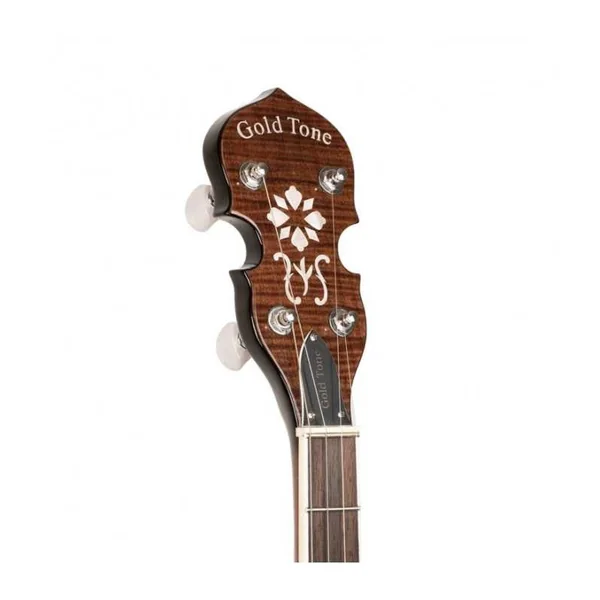 BANJO 4 Cordes GOLD TONE TS-250 - Special