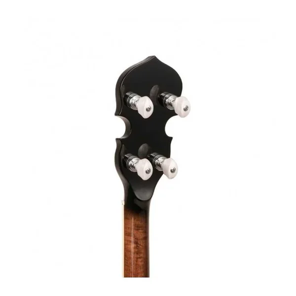 BANJO 4 Cordes GOLD TONE TS-250 - Special