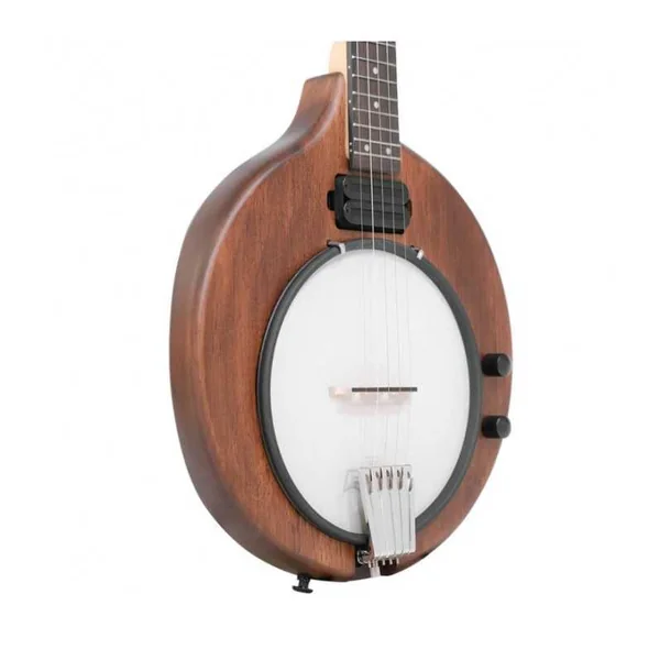 BANJO 5 Cordes Electrique GOLD TONE EB-5