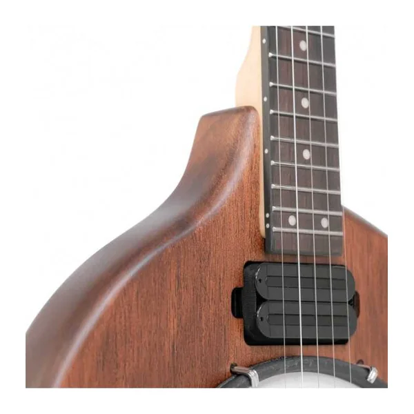 BANJO 5 Cordes Electrique GOLD TONE EB-5