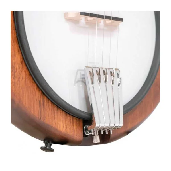 BANJO 5 Cordes Electrique GOLD TONE EB-5