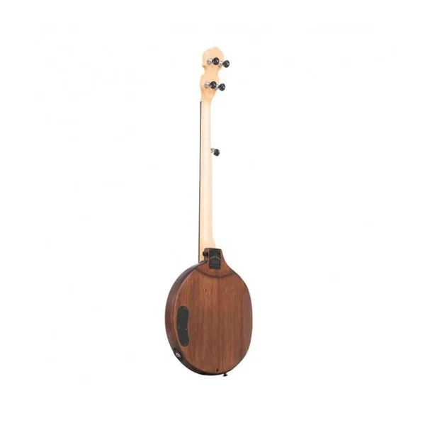 BANJO 5 Cordes Electrique GOLD TONE EB-5