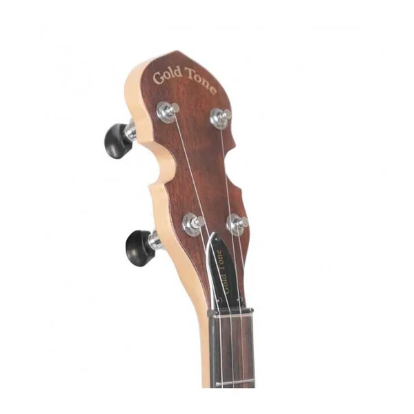 BANJO 5 Cordes Electrique GOLD TONE EB-5