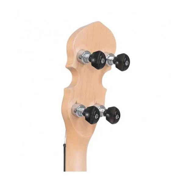 BANJO 5 Cordes Electrique GOLD TONE EB-5