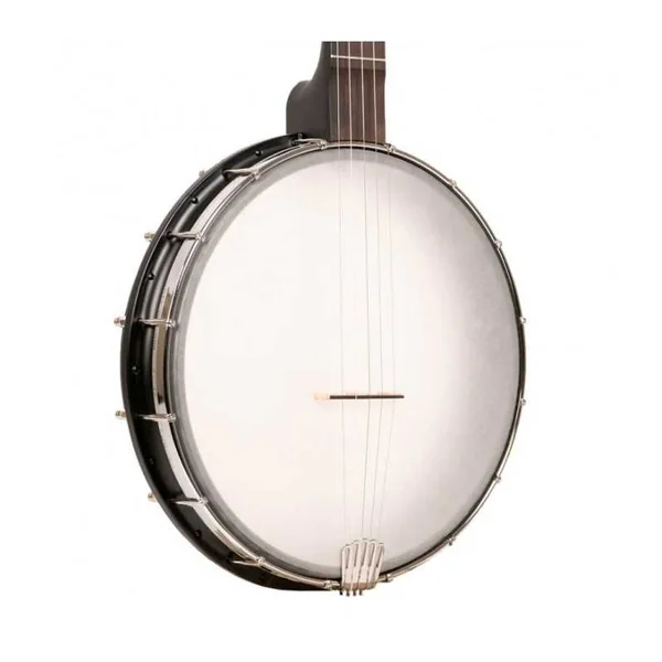 BANJO 5 Cordes GOLD TONE AC-12A - OLDTIME DIAP. COURT 12" + BAG