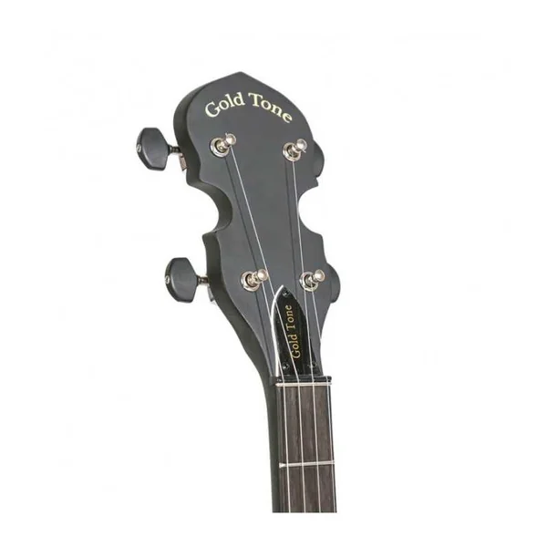 BANJO 5 Cordes GOLD TONE AC-1 - open back