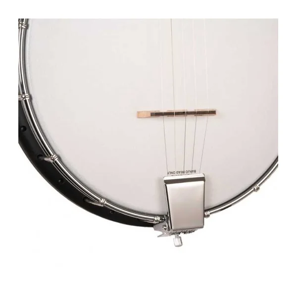 BANJO 5 Cordes GOLD TONE AC-1LN - OPEN DIAPASON LONG+BAG