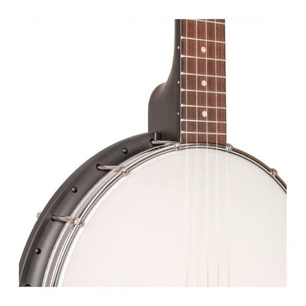 BANJO 5 Cordes GOLD TONE AC-1LN - OPEN DIAPASON LONG+BAG