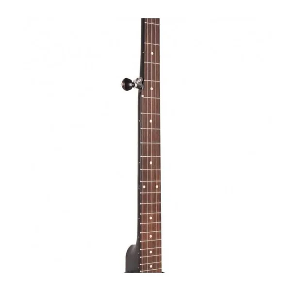 BANJO 5 Cordes GOLD TONE AC-1LN - OPEN DIAPASON LONG+BAG