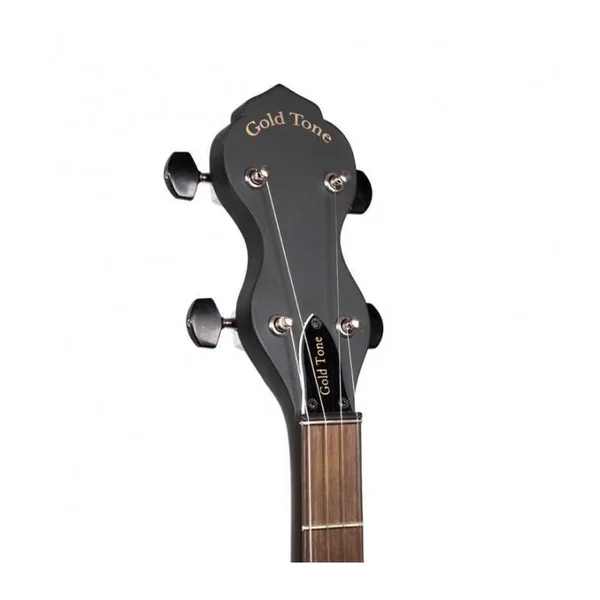 BANJO 5 Cordes GOLD TONE AC-1LN - OPEN DIAPASON LONG+BAG