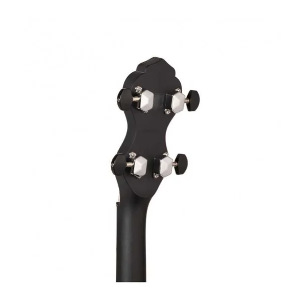 BANJO 5 Cordes GOLD TONE AC-1LN - OPEN DIAPASON LONG+BAG