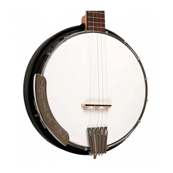 BANJO 5 Cordes GOLD TONE AC-5 - Bluegrass