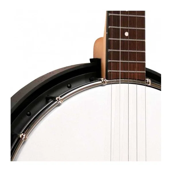 BANJO 5 Cordes GOLD TONE AC-5 - Bluegrass
