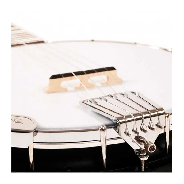 BANJO 5 Cordes GOLD TONE AC-5 - Bluegrass