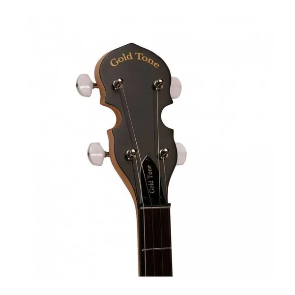 BANJO 5 Cordes GOLD TONE AC-5 - Bluegrass