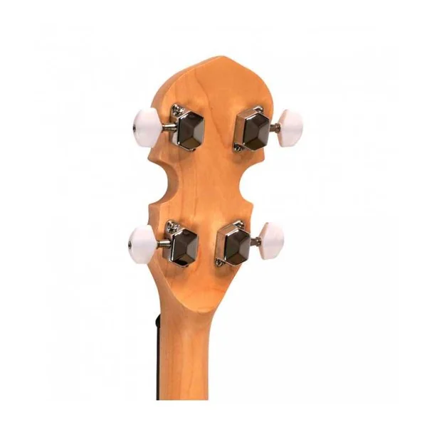 BANJO 5 Cordes GOLD TONE AC-5 - Bluegrass