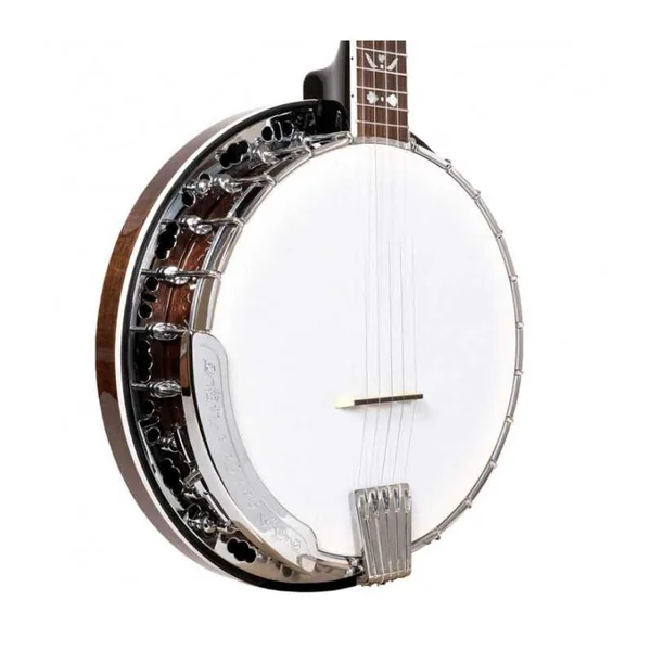 BANJO 5 Cordes GOLD TONE BG-150F - Bluegrass