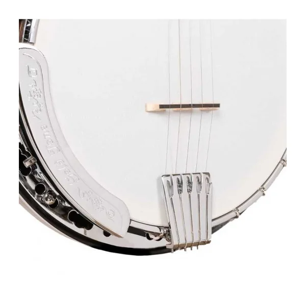 BANJO 5 Cordes GOLD TONE BG-150F - Bluegrass