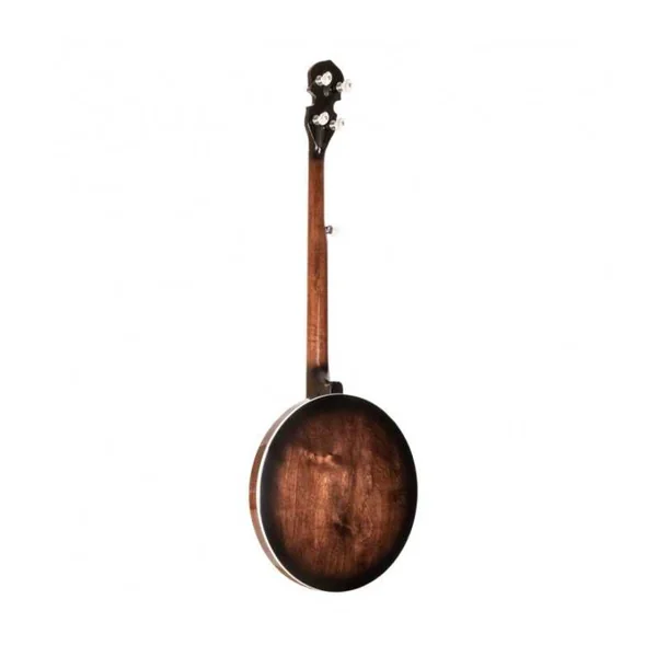 BANJO 5 Cordes GOLD TONE BG-150F - Bluegrass
