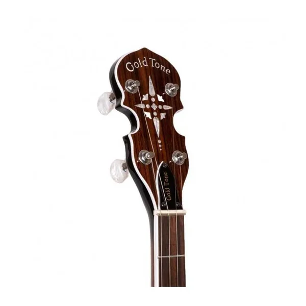 BANJO 5 Cordes GOLD TONE BG-150F - Bluegrass