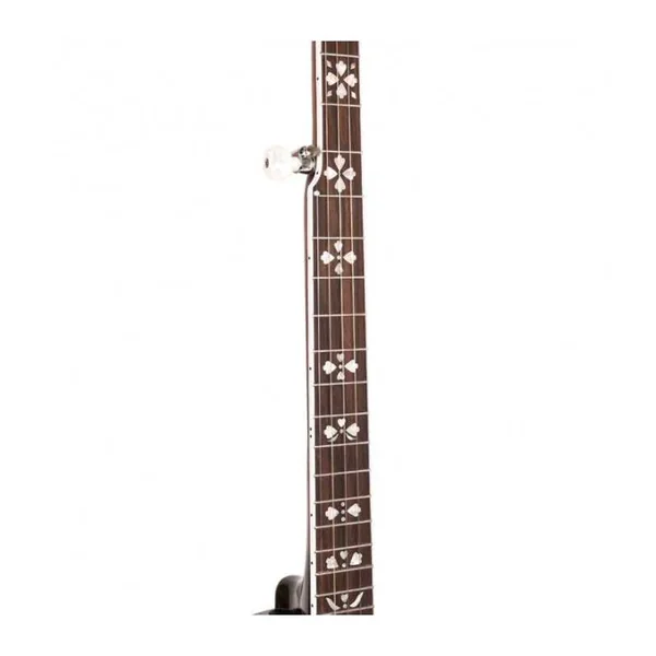 BANJO 5 Cordes GOLD TONE BG-150F - Bluegrass