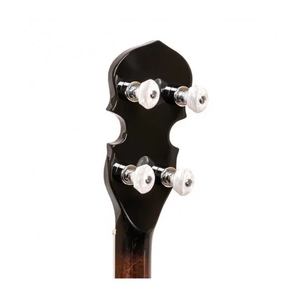 BANJO 5 Cordes GOLD TONE BG-150F - Bluegrass