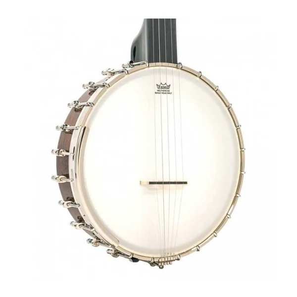 BANJO 5 Cordes GOLD TONE CB-100 - openback Clawhammer 11"
