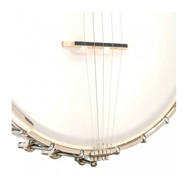 BANJO 5 Cordes GOLD TONE CB-100 - openback Clawhammer 11"
